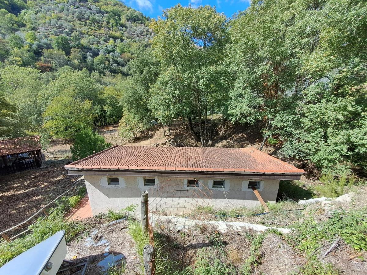 Agricamping Ponteraggio N.1 Hotel Dolceacqua Kültér fotó