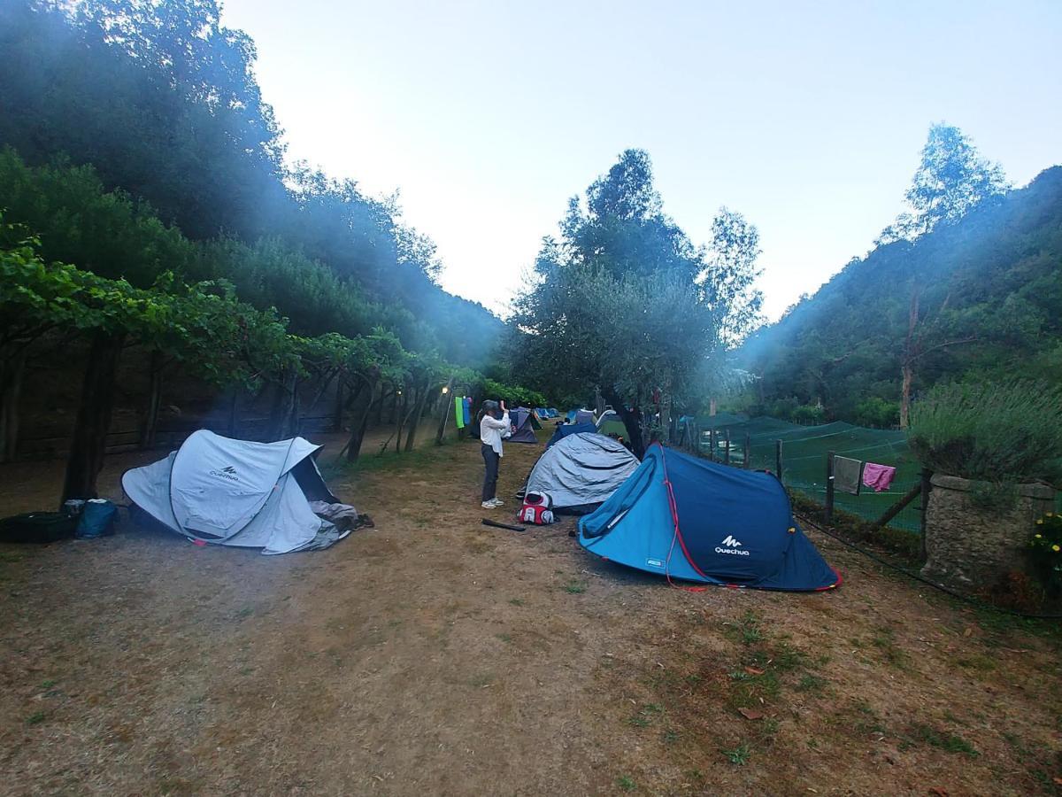 Agricamping Ponteraggio N.1 Hotel Dolceacqua Kültér fotó