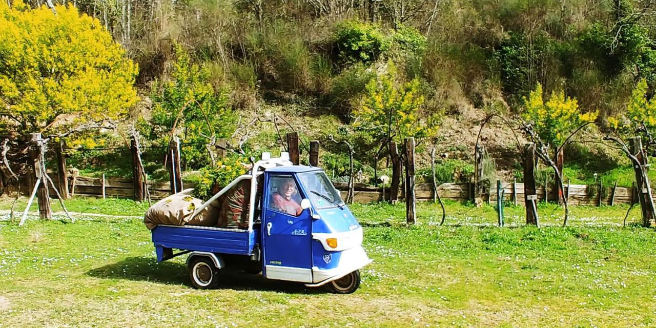 Agricamping Ponteraggio N.1 Hotel Dolceacqua Kültér fotó