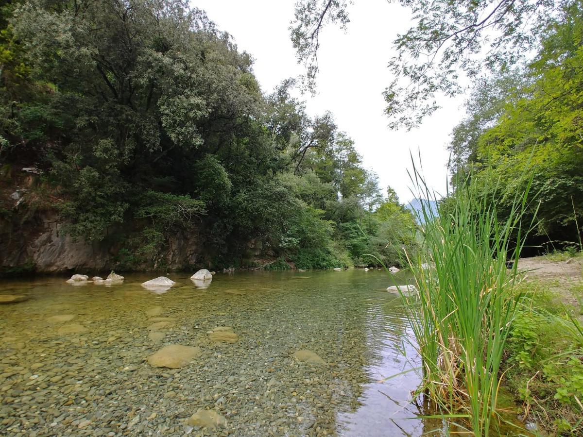 Agricamping Ponteraggio N.1 Hotel Dolceacqua Kültér fotó