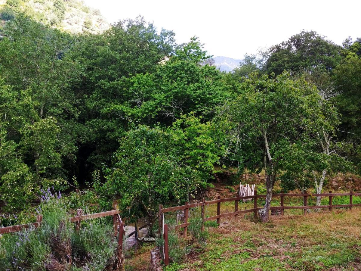 Agricamping Ponteraggio N.1 Hotel Dolceacqua Kültér fotó