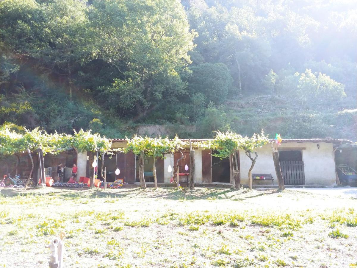 Agricamping Ponteraggio N.1 Hotel Dolceacqua Kültér fotó