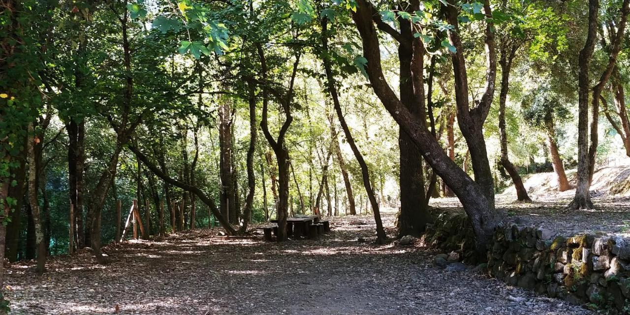 Agricamping Ponteraggio N.1 Hotel Dolceacqua Kültér fotó