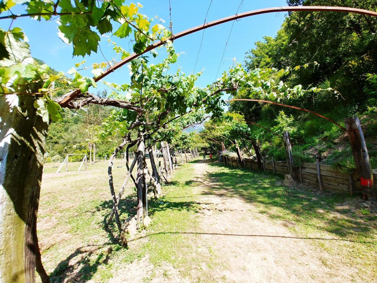 Agricamping Ponteraggio N.1 Hotel Dolceacqua Kültér fotó