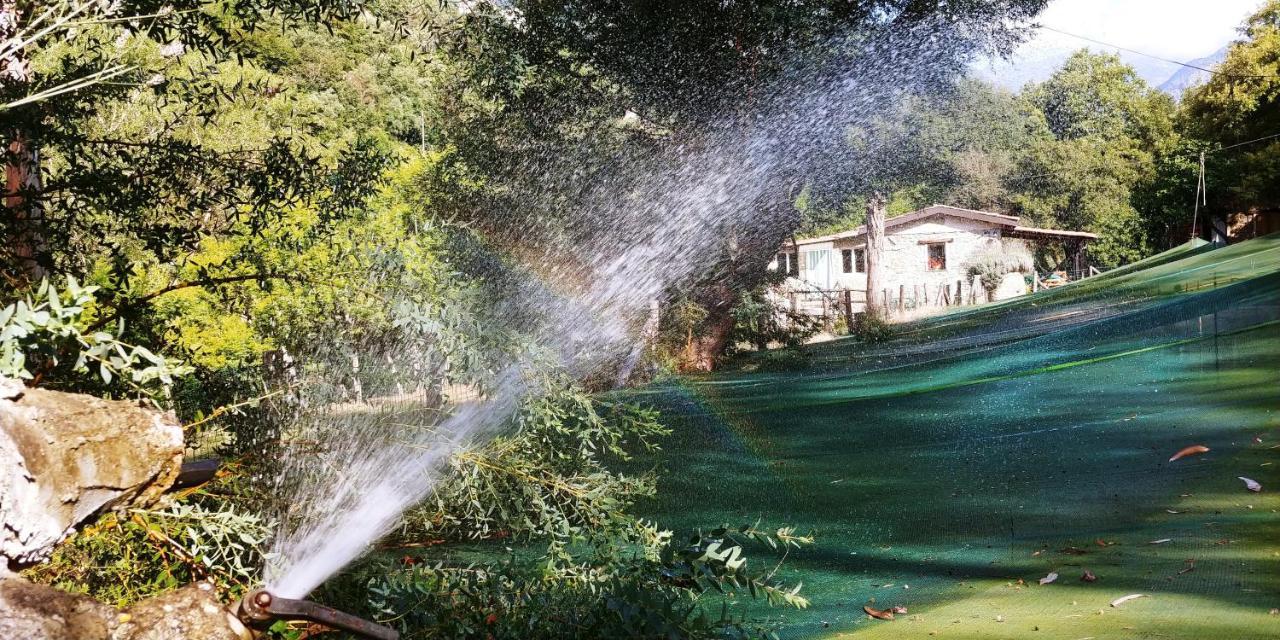 Agricamping Ponteraggio N.1 Hotel Dolceacqua Kültér fotó