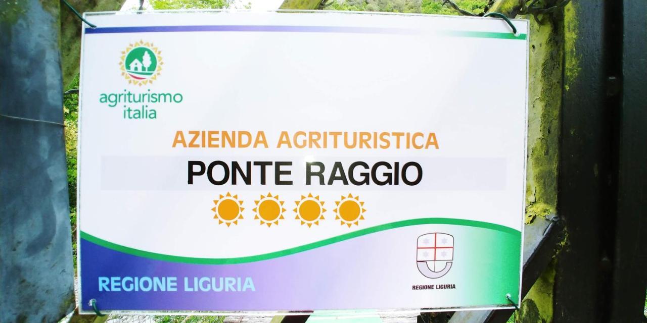 Agricamping Ponteraggio N.1 Hotel Dolceacqua Kültér fotó