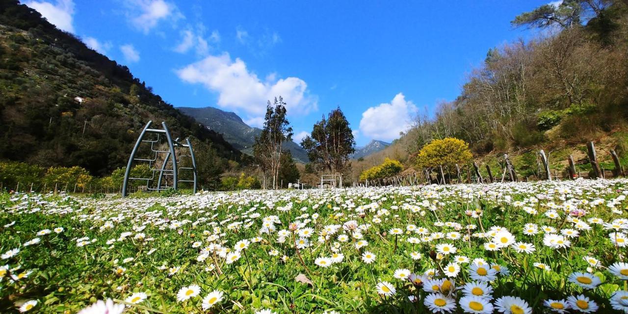 Agricamping Ponteraggio N.1 Hotel Dolceacqua Kültér fotó