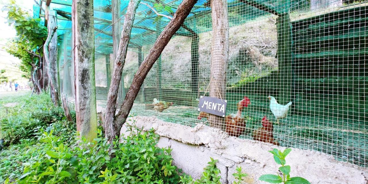 Agricamping Ponteraggio N.1 Hotel Dolceacqua Kültér fotó