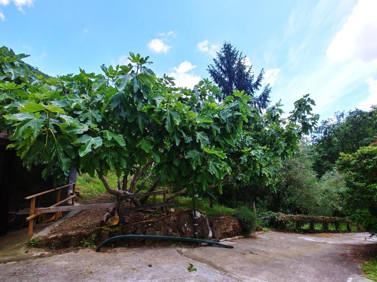 Agricamping Ponteraggio N.1 Hotel Dolceacqua Kültér fotó