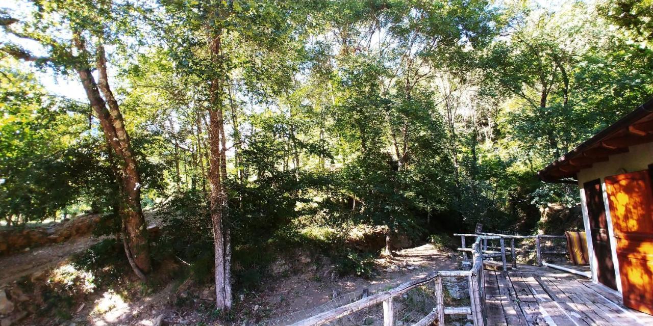 Agricamping Ponteraggio N.1 Hotel Dolceacqua Kültér fotó