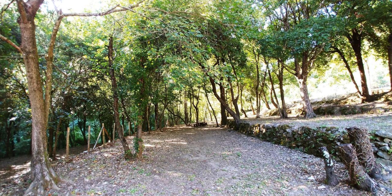 Agricamping Ponteraggio N.1 Hotel Dolceacqua Kültér fotó