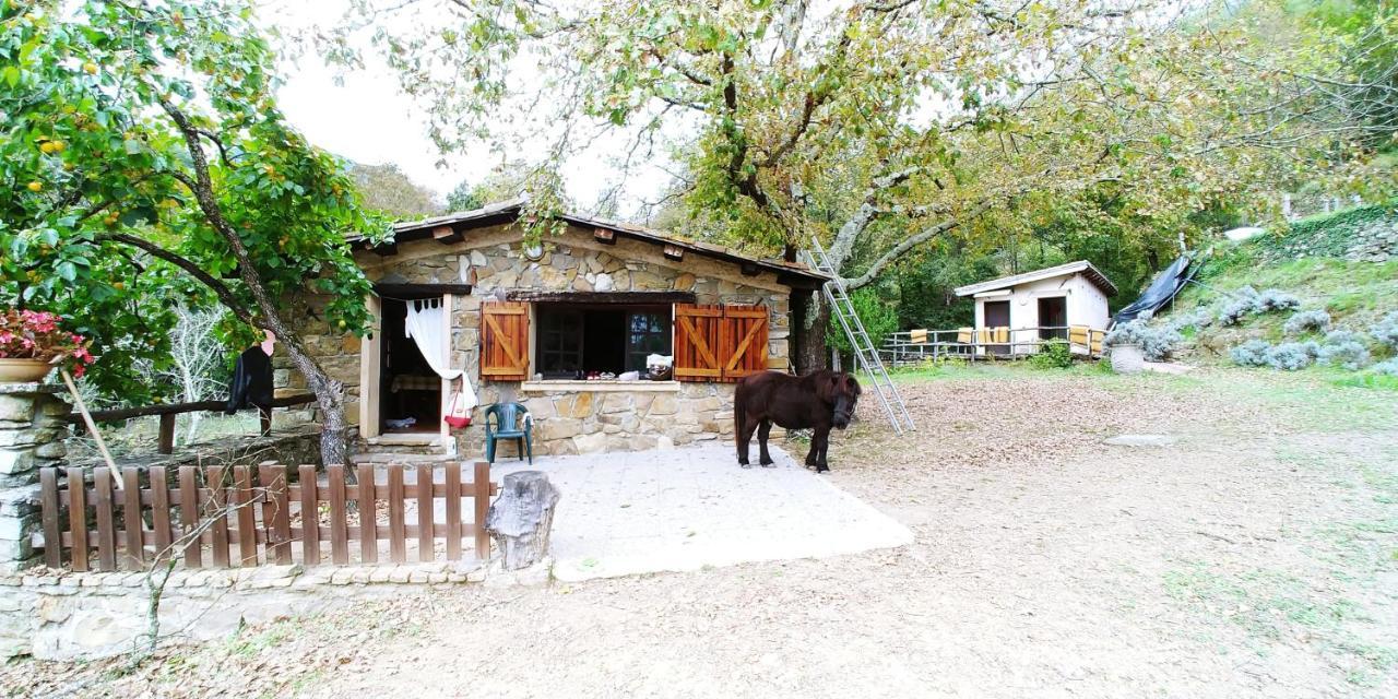 Agricamping Ponteraggio N.1 Hotel Dolceacqua Kültér fotó
