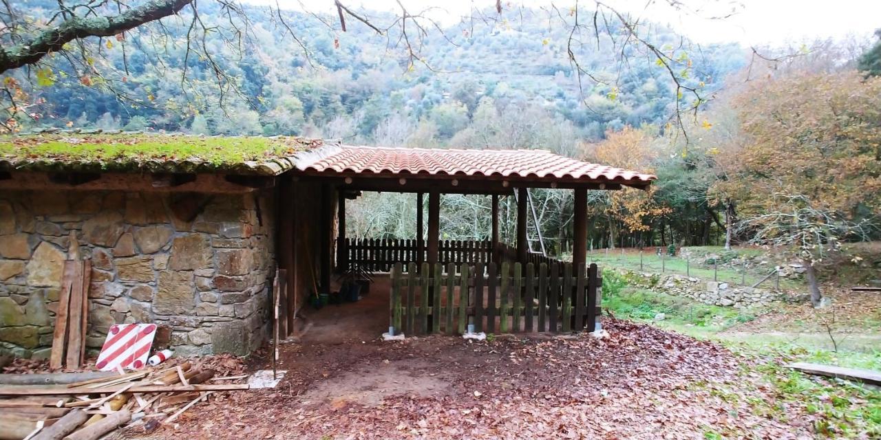 Agricamping Ponteraggio N.1 Hotel Dolceacqua Kültér fotó