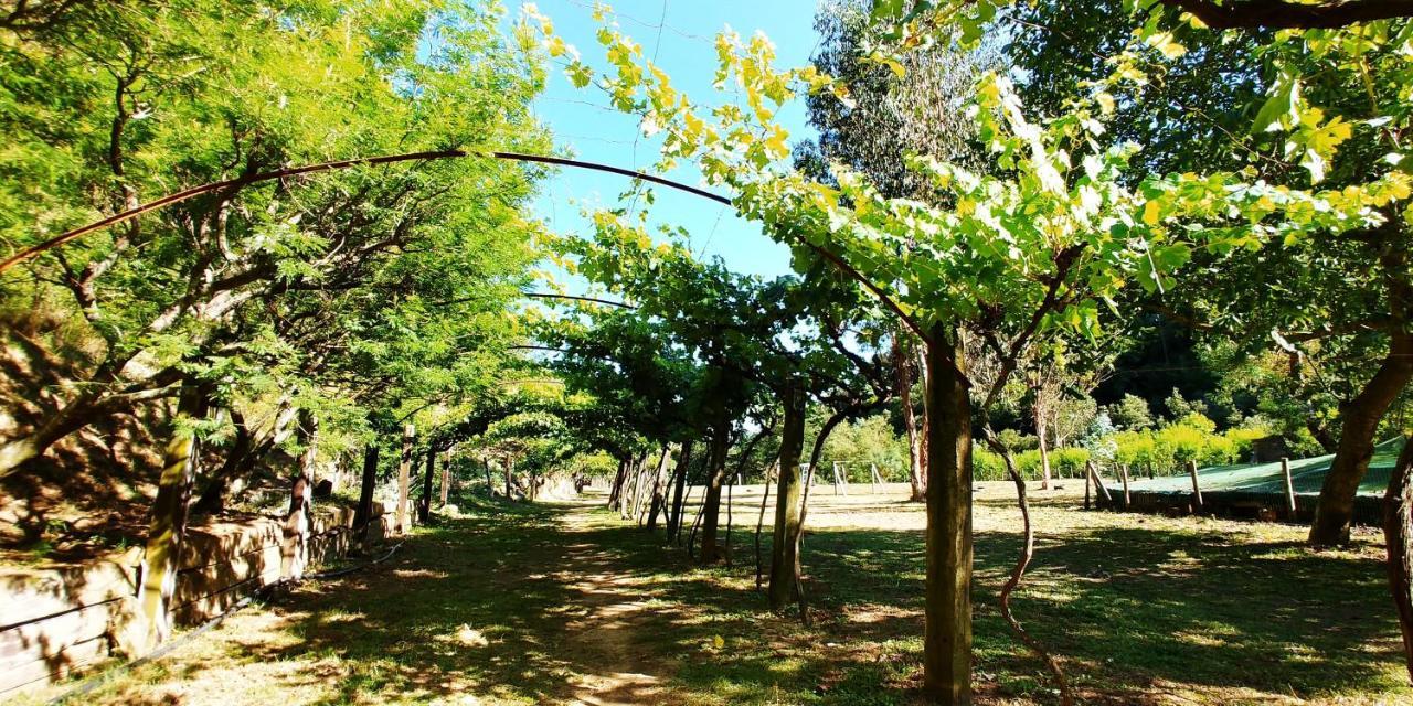 Agricamping Ponteraggio N.1 Hotel Dolceacqua Kültér fotó