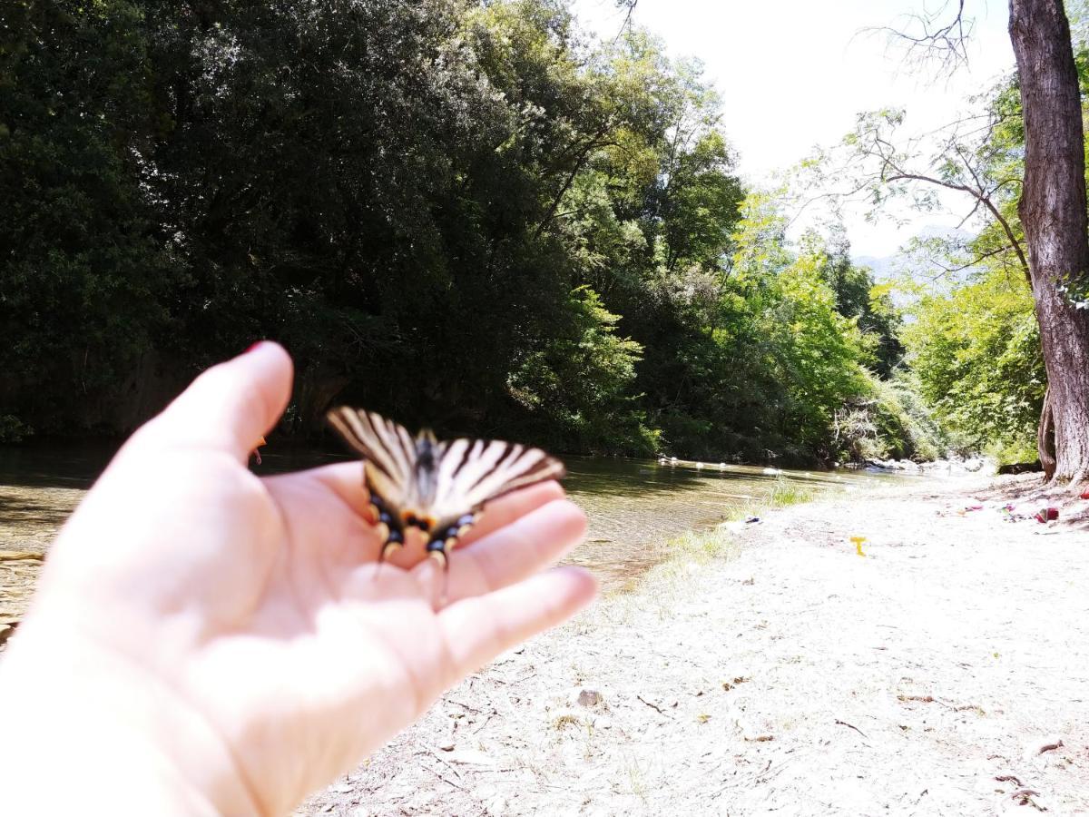 Agricamping Ponteraggio N.1 Hotel Dolceacqua Kültér fotó
