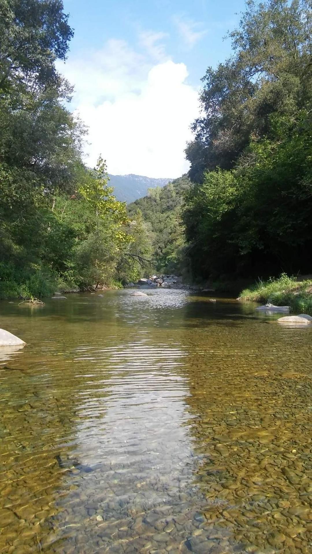 Agricamping Ponteraggio N.1 Hotel Dolceacqua Kültér fotó