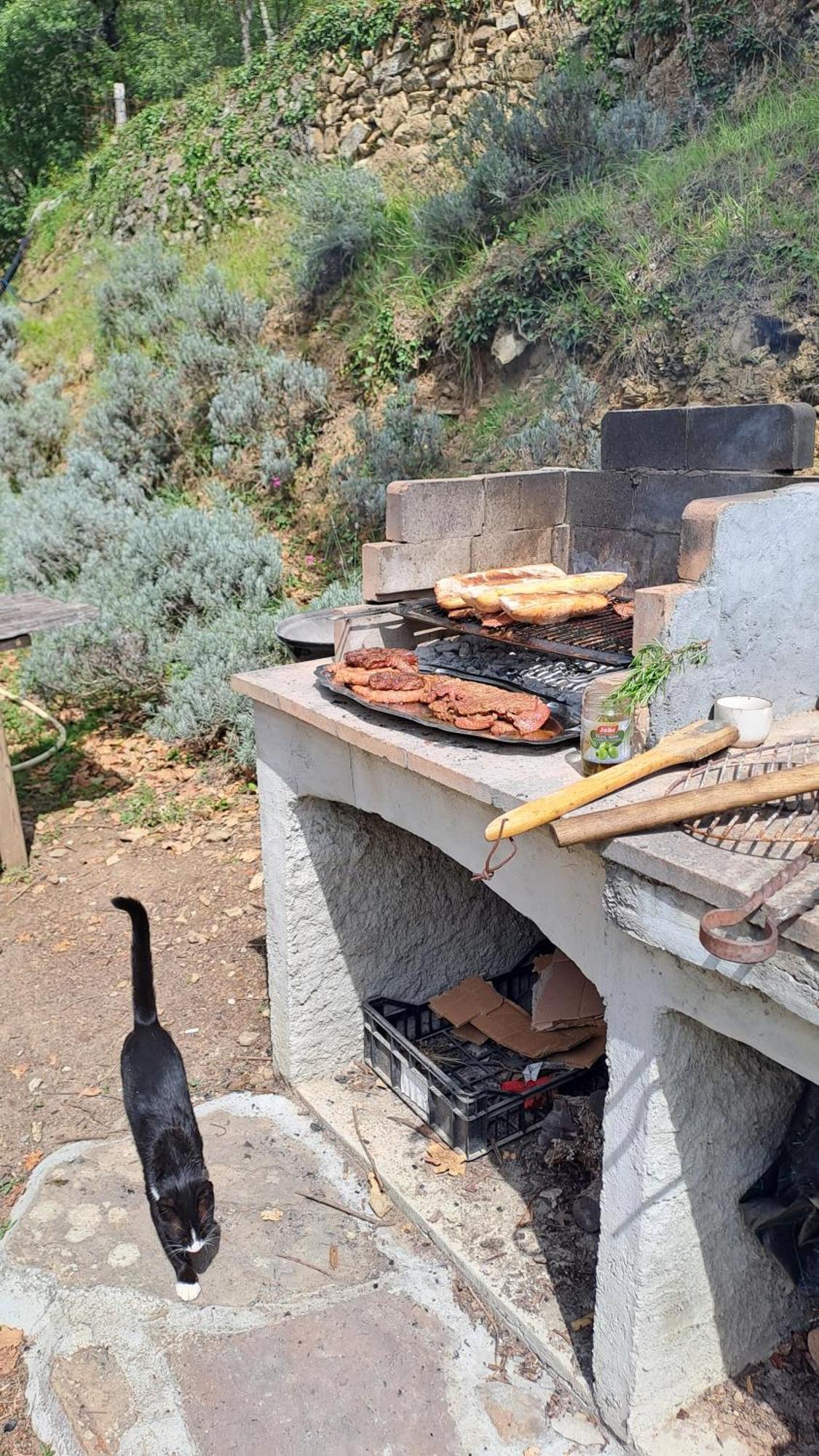Agricamping Ponteraggio N.1 Hotel Dolceacqua Kültér fotó